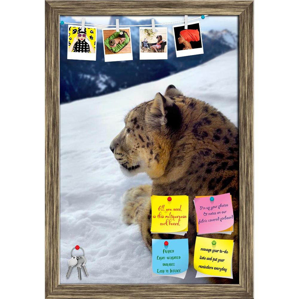 ArtzFolio Snow Leopard Printed Bulletin Board Notice Pin Board Soft Board | Framed-Bulletin Boards Framed-AZSAO17113216BLB_FR_L-Image Code 5001881 Vishnu Image Folio Pvt Ltd, IC 5001881, ArtzFolio, Bulletin Boards Framed, Animals, Landscapes, Photography, snow, leopard, printed, bulletin, board, notice, pin, soft, framed, photomontage, big, cat, face, mammal, panthera, portrait, predator, teeth, winter, mountain, pin up board, push pin board, extra large cork board, big pin board, notice board, small bullet