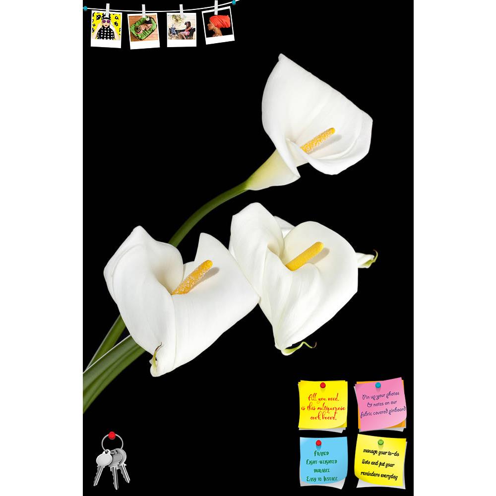 ArtzFolio White Calla Lilies On A Dark Background Printed Bulletin Board Notice Pin Board Soft Board | Frameless-Bulletin Boards Frameless-AZSAO17134468BLB_FL_L-Image Code 5001886 Vishnu Image Folio Pvt Ltd, IC 5001886, ArtzFolio, Bulletin Boards Frameless, Floral, Photography, white, calla, lilies, on, a, dark, background, printed, bulletin, board, notice, pin, soft, frameless, vertical, image, three, pin up board, push pin board, extra large cork board, big pin board, notice board, small bulletin board, c