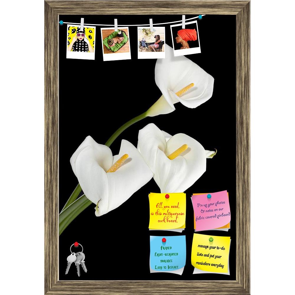 ArtzFolio White Calla Lilies On A Dark Background Printed Bulletin Board Notice Pin Board Soft Board | Framed-Bulletin Boards Framed-AZSAO17134468BLB_FR_L-Image Code 5001886 Vishnu Image Folio Pvt Ltd, IC 5001886, ArtzFolio, Bulletin Boards Framed, Floral, Photography, white, calla, lilies, on, a, dark, background, printed, bulletin, board, notice, pin, soft, framed, vertical, image, three, pin up board, push pin board, extra large cork board, big pin board, notice board, small bulletin board, cork board, w
