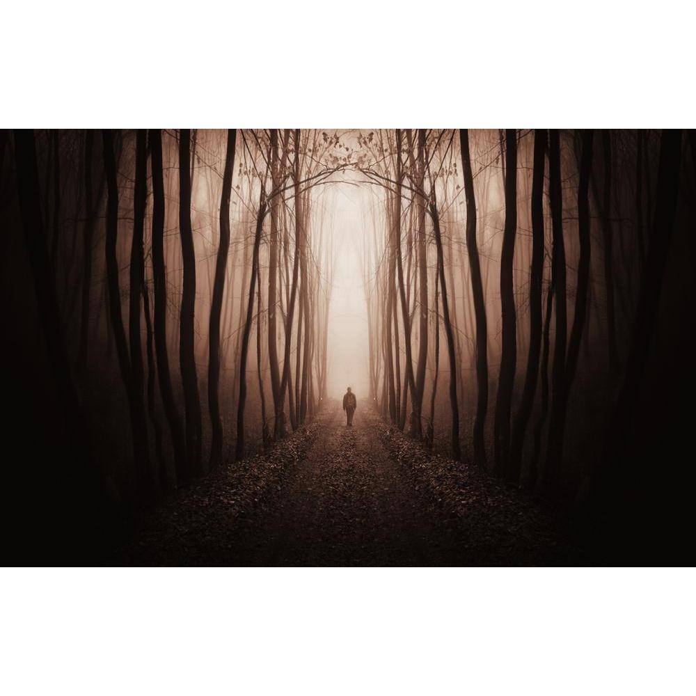 Fantasy Forest Canvas Painting Synthetic Frame-Paintings MDF Framing-AFF_FR-IC 5001904 IC 5001904, Abstract Expressionism, Abstracts, Automobiles, Black, Black and White, Fantasy, Landscapes, Nature, Scenic, Seasons, Semi Abstract, Transportation, Travel, Vehicles, Wooden, forest, canvas, painting, synthetic, frame, dark, darkness, fog, ghost, abstract, autumn, background, crawl, evening, evil, ground, horror, journey, landscape, light, magic, man, mist, monochrome, mood, moonlight, morning, mystery, night,