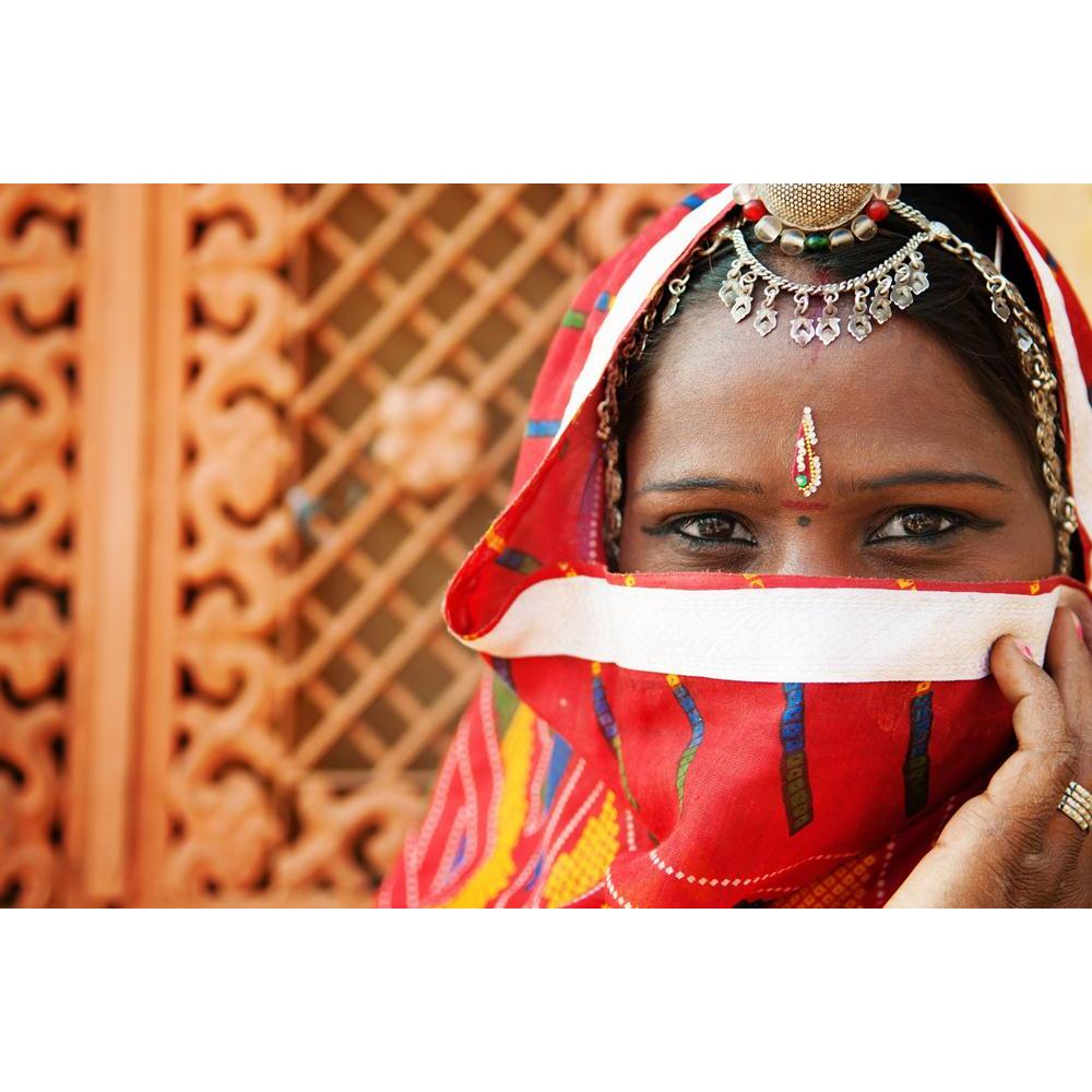 Traditional Indian Woman In Sari Canvas Painting Synthetic Frame-Paintings MDF Framing-AFF_FR-IC 5001917 IC 5001917, Adult, Asian, Culture, Ethnic, Fashion, Hinduism, Indian, Individuals, People, Portraits, Rural, Traditional, Tribal, Wedding, World Culture, woman, in, sari, canvas, painting, synthetic, frame, india, gypsy, asia, beautiful, beauty, bride, closeup, clothes, cosmetics, costume, covering, dress, exotic, eyes, face, female, girl, head, headscarf, headshot, henna, hindu, jewelry, lady, local, ma