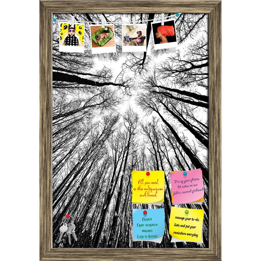 ArtzFolio Black & White Trees Printed Bulletin Board Notice Pin Board Soft Board | Framed-Bulletin Boards Framed-AZSAO17320503BLB_FR_L-Image Code 5001924 Vishnu Image Folio Pvt Ltd, IC 5001924, ArtzFolio, Bulletin Boards Framed, Landscapes, Photography, black, white, trees, printed, bulletin, board, notice, pin, soft, framed, silhouettes, pin up board, push pin board, extra large cork board, big pin board, notice board, small bulletin board, cork board, wall notice board, giant cork board, bulletin board, o