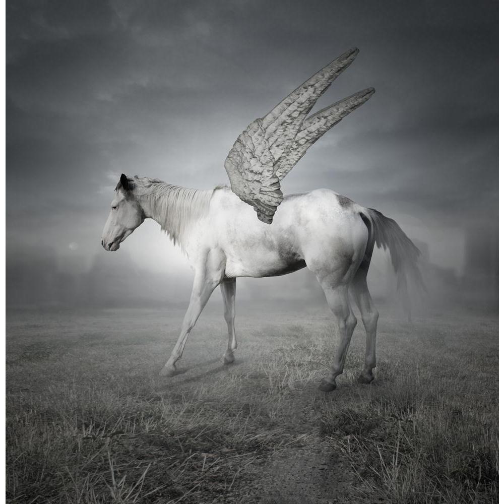 White Horse With Wings The Legendary Pegaso Canvas Painting Synthetic Frame-Paintings MDF Framing-AFF_FR-IC 5002030 IC 5002030, Animals, Art and Paintings, Black and White, Cities, City Views, Collages, Fantasy, Inspirational, Motivation, Motivational, White, horse, with, wings, the, legendary, pegaso, canvas, painting, synthetic, frame, animal, art, artistic, background, beautiful, city, cloud, cloudy, collage, creativity, elegance, elegant, fable, fairy, field, free, grass, imagination, imaginative, imagi