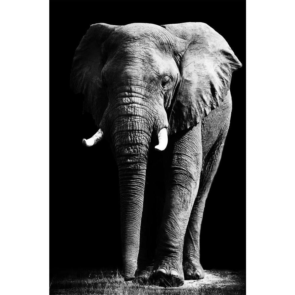 ArtzFolio Large African Elephant Unframed Paper Poster-Paper Posters Unframed-AZART17875556POS_UN_L-Image Code 5002033 Vishnu Image Folio Pvt Ltd, IC 5002033, ArtzFolio, Paper Posters Unframed, Animals, Photography, large, african, elephant, unframed, paper, poster, wall, size, for, living, room, home, decoration, big, framed, decor, posters, pitaara, box, modern, art, with, frame, bedroom, amazonbasics, door, drawing, small, decorative, office, reception, multiple, friends, images, reprints, reprint, kids,