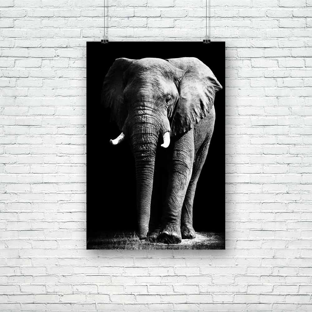 Large African Elephant Unframed Paper Poster-Paper Posters Unframed-POS_UN-IC 5002033 IC 5002033, African, Animals, Black, Black and White, Individuals, Nature, Portraits, Scenic, Wildlife, large, elephant, unframed, paper, poster, head, aged, animal, big, brown, close, closeup, danger, detail, ear, endangered, eye, face, feed, female, hide, jungle, look, old, one, portrait, powerful, profile, skin, skinned, slow, species, strong, texture, thick, threatened, tough, trunk, tusk, up, wild, wise, wrinkled, zoo