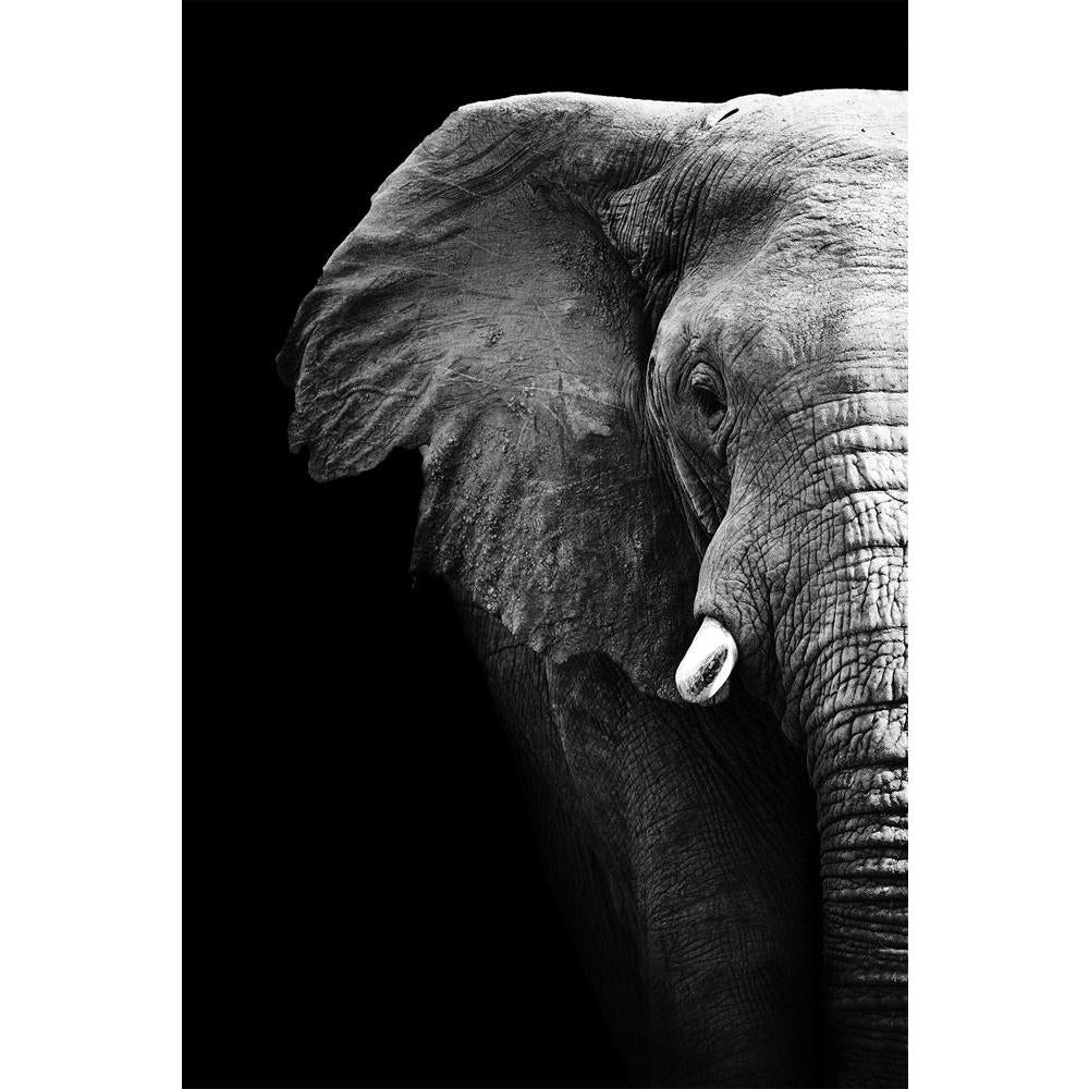 ArtzFolio Elephant D3 Unframed Paper Poster-Paper Posters Unframed-AZART17875586POS_UN_L-Image Code 5002034 Vishnu Image Folio Pvt Ltd, IC 5002034, ArtzFolio, Paper Posters Unframed, Animals, Photography, elephant, d3, unframed, paper, poster, wall, large, size, for, living, room, home, decoration, big, framed, decor, posters, pitaara, box, modern, art, with, frame, bedroom, amazonbasics, door, drawing, small, decorative, office, reception, multiple, friends, images, reprints, reprint, kids, bathroom, desig