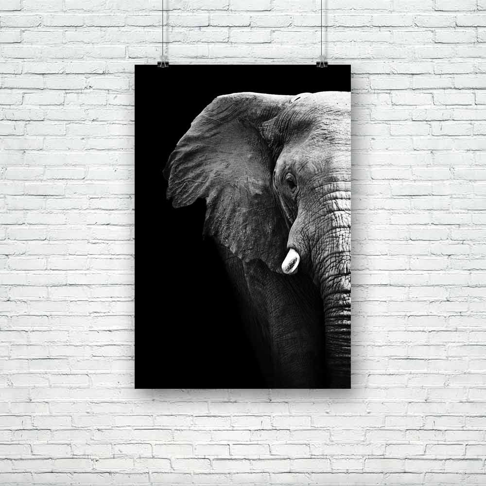Elephant D3 Unframed Paper Poster-Paper Posters Unframed-POS_UN-IC 5002034 IC 5002034, African, Animals, Black, Black and White, Individuals, Nature, Portraits, Scenic, Wildlife, elephant, d3, unframed, paper, poster, aged, animal, big, brown, close, closeup, danger, detail, ear, endangered, eye, face, feed, female, head, hide, jungle, large, look, old, one, portrait, powerful, profile, skin, skinned, slow, species, strong, texture, thick, threatened, tough, trunk, tusk, up, wild, wise, wrinkled, zoo, artzf