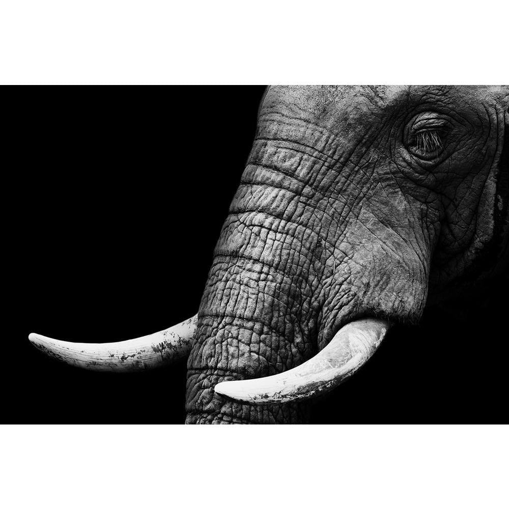 ArtzFolio Elephant D4 Unframed Paper Poster-Paper Posters Unframed-AZART17875591POS_UN_L-Image Code 5002035 Vishnu Image Folio Pvt Ltd, IC 5002035, ArtzFolio, Paper Posters Unframed, Animals, Photography, elephant, d4, unframed, paper, poster, wall, large, size, for, living, room, home, decoration, big, framed, decor, posters, pitaara, box, modern, art, with, frame, bedroom, amazonbasics, door, drawing, small, decorative, office, reception, multiple, friends, images, reprints, reprint, kids, bathroom, desig