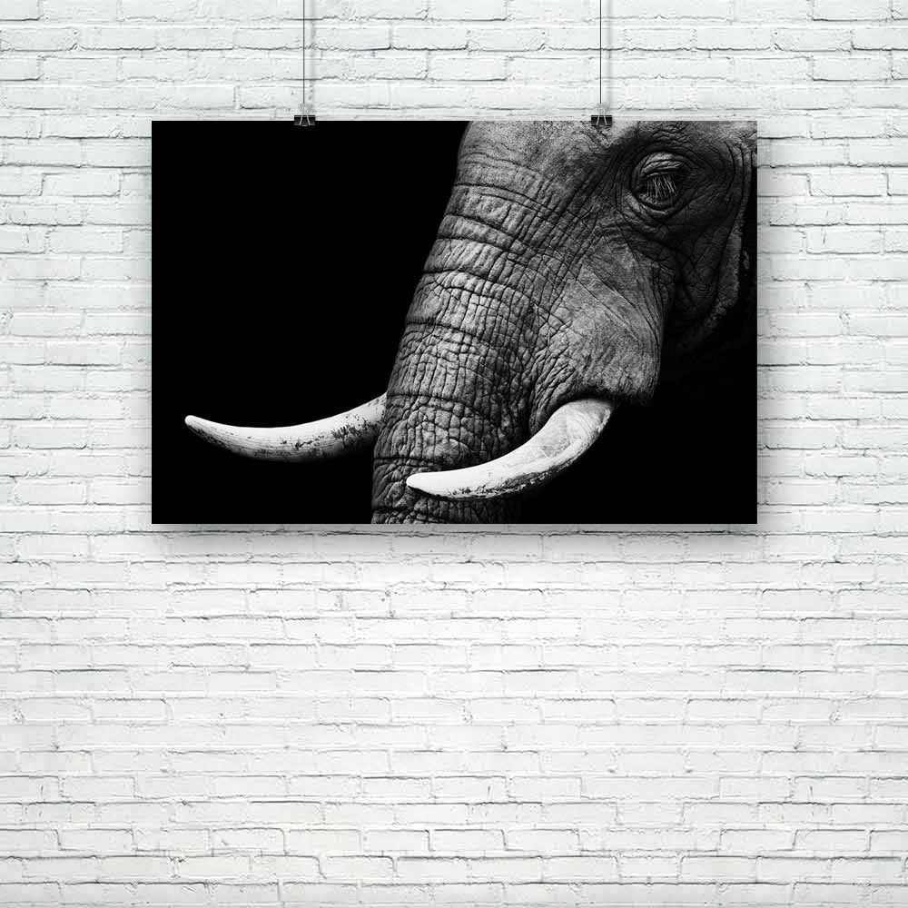 Elephant D4 Unframed Paper Poster-Paper Posters Unframed-POS_UN-IC 5002035 IC 5002035, African, Animals, Black, Black and White, Individuals, Nature, Portraits, Scenic, Wildlife, elephant, d4, unframed, paper, poster, head, aged, animal, big, brown, close, closeup, danger, detail, ear, endangered, eye, face, feed, female, hide, jungle, large, look, old, one, portrait, powerful, profile, skin, skinned, slow, species, strong, texture, thick, threatened, tough, trunk, tusk, up, wild, wise, wrinkled, zoo, artzf