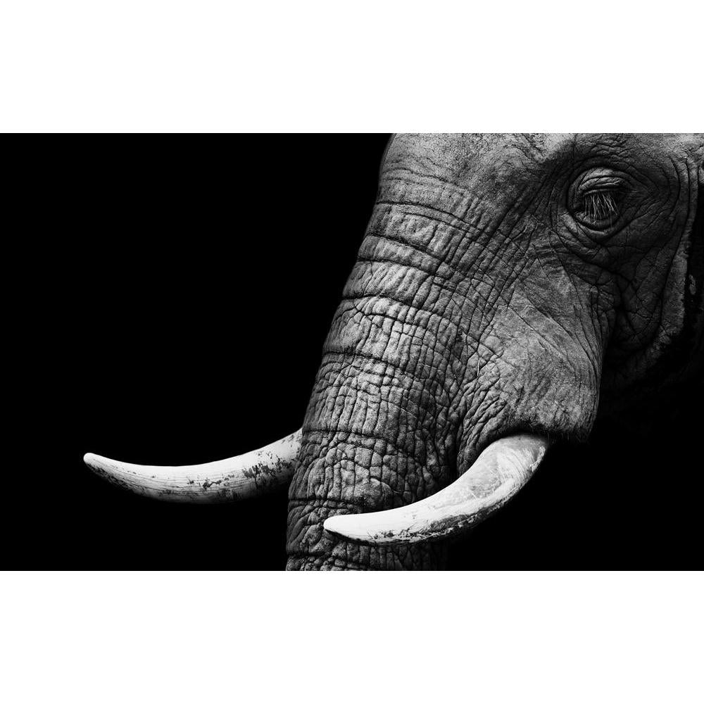 Elephant Canvas Painting Synthetic Frame-Paintings MDF Framing-AFF_FR-IC 5002035 IC 5002035, African, Animals, Black, Black and White, Individuals, Nature, Portraits, Scenic, Wildlife, elephant, canvas, painting, synthetic, frame, head, aged, animal, big, brown, close, closeup, danger, detail, ear, endangered, eye, face, feed, female, hide, jungle, large, look, old, one, portrait, powerful, profile, skin, skinned, slow, species, strong, texture, thick, threatened, tough, trunk, tusk, up, wild, wise, wrinkle