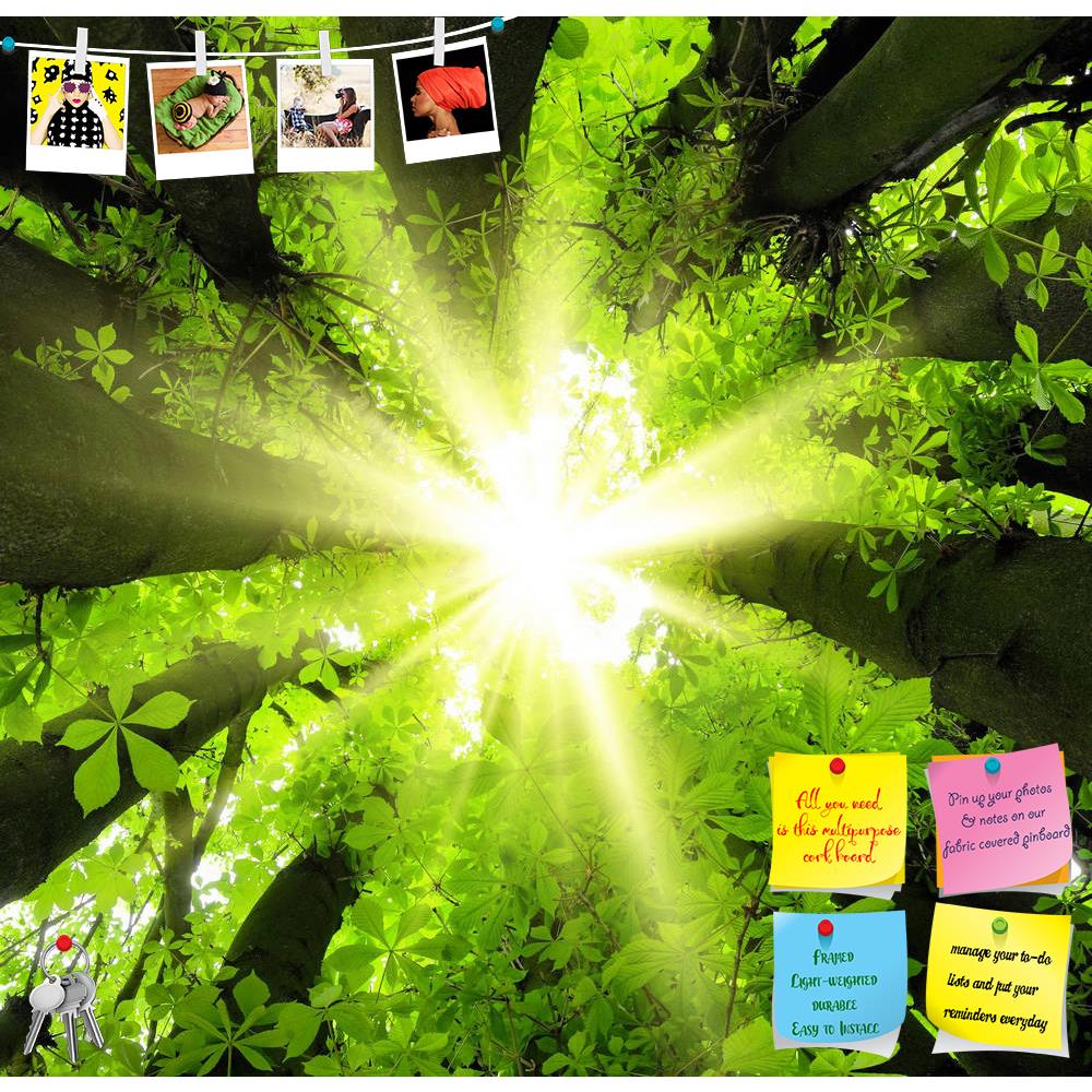 ArtzFolio Forest Scenery D1 Printed Bulletin Board Notice Pin Board Soft Board | Frameless-Bulletin Boards Frameless-AZSAO17897608BLB_FL_L-Image Code 5002038 Vishnu Image Folio Pvt Ltd, IC 5002038, ArtzFolio, Bulletin Boards Frameless, Landscapes, Photography, forest, scenery, d1, printed, bulletin, board, notice, pin, soft, frameless, eye-catching, canopy, sun, beautifully, framed, lush, trees, pin up board, push pin board, extra large cork board, big pin board, notice board, small bulletin board, cork boa