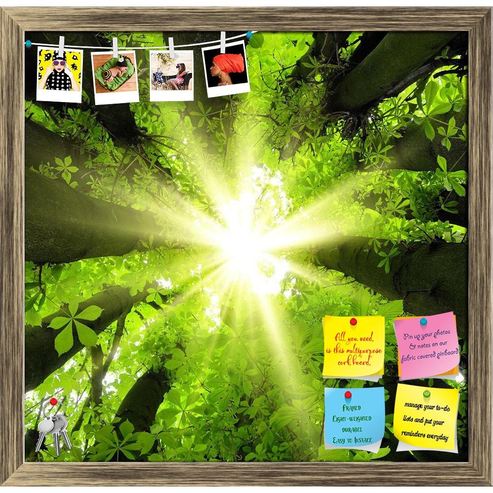 ArtzFolio Forest Scenery D1 Printed Bulletin Board Notice Pin Board Soft Board | Framed-Bulletin Boards Framed-AZSAO17897608BLB_FR_L-Image Code 5002038 Vishnu Image Folio Pvt Ltd, IC 5002038, ArtzFolio, Bulletin Boards Framed, Landscapes, Photography, forest, scenery, d1, printed, bulletin, board, notice, pin, soft, framed, eye-catching, canopy, sun, beautifully, lush, trees, pin up board, push pin board, extra large cork board, big pin board, notice board, small bulletin board, cork board, wall notice boar