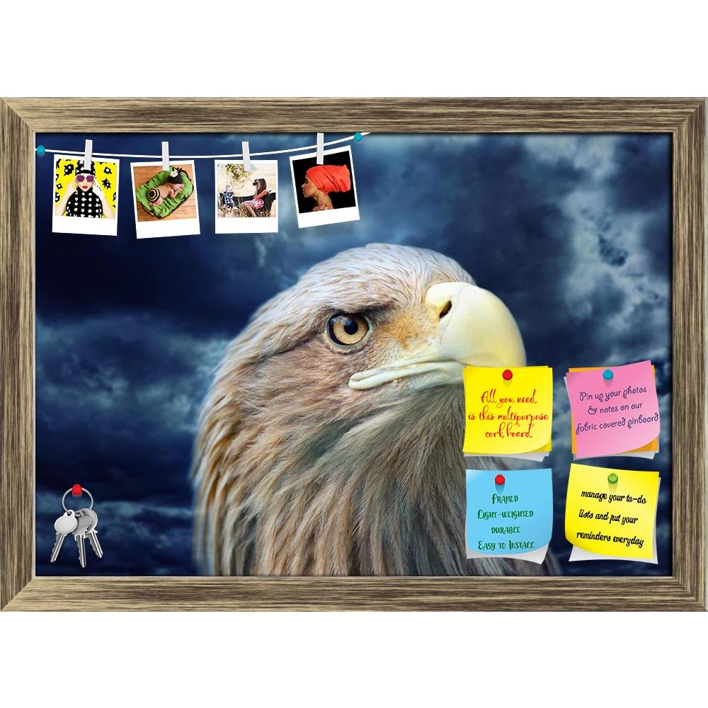 ArtzFolio Eagle Face Printed Bulletin Board Notice Pin Board Soft Board | Framed-Bulletin Boards Framed-AZSAO17902623BLB_FR_L-Image Code 5002041 Vishnu Image Folio Pvt Ltd, IC 5002041, ArtzFolio, Bulletin Boards Framed, Birds, Photography, eagle, face, printed, bulletin, board, notice, pin, soft, framed, other, storm, background, america, american, animal, avian, bald, beak, beauty, bird, brown, close, close-up, creature, emblem, endangered, eye, feathers, freedom, haliaeetus, head, hunter, leucocephalus, m