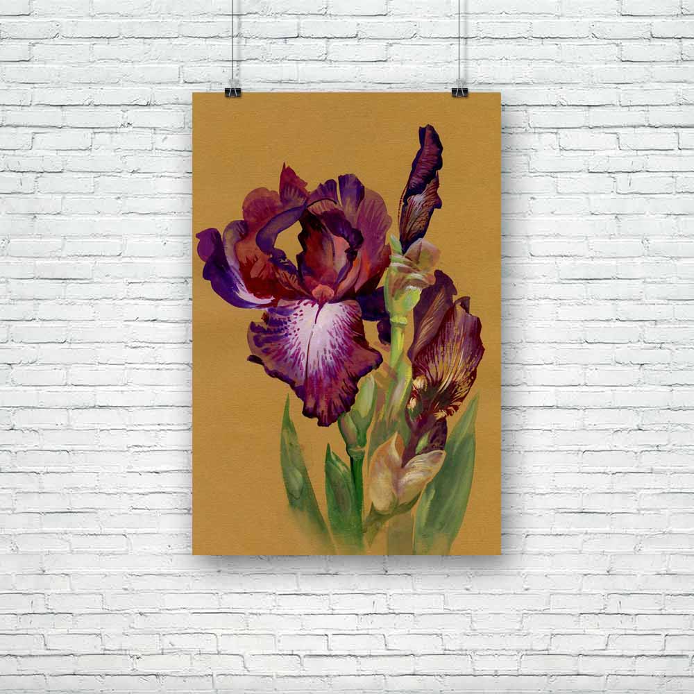 Watercolor Flower Collection Unframed Paper Poster-Paper Posters Unframed-POS_UN-IC 5002043 IC 5002043, Ancient, Art and Paintings, Black and White, Botanical, Digital, Digital Art, Drawing, Floral, Flowers, Graphic, Historical, Illustrations, Medieval, Mother Mary, Nature, Paintings, Patterns, Scenic, Signs, Signs and Symbols, Sketches, Symbols, Vintage, Watercolour, White, watercolor, flower, collection, unframed, paper, poster, iris, appreciation, art, beautiful, beauty, bloom, blossom, brushstroke, card
