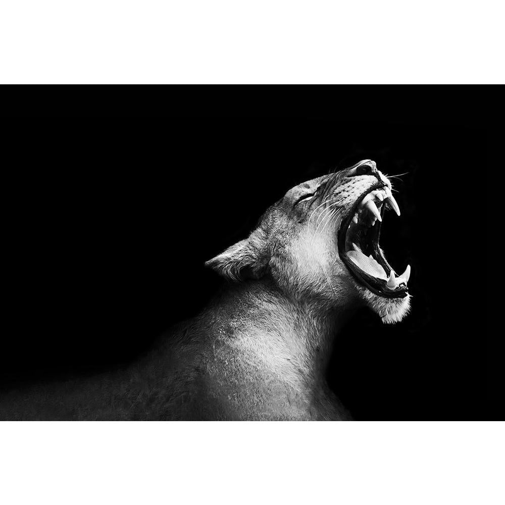 ArtzFolio Lion Roaring Unframed Paper Poster-Paper Posters Unframed-AZART17991024POS_UN_L-Image Code 5002062 Vishnu Image Folio Pvt Ltd, IC 5002062, ArtzFolio, Paper Posters Unframed, Animals, Photography, lion, roaring, unframed, paper, poster, wall, large, size, for, living, room, home, decoration, big, framed, decor, posters, pitaara, box, modern, art, with, frame, bedroom, amazonbasics, door, drawing, small, decorative, office, reception, multiple, friends, images, reprints, reprint, kids, bathroom, des