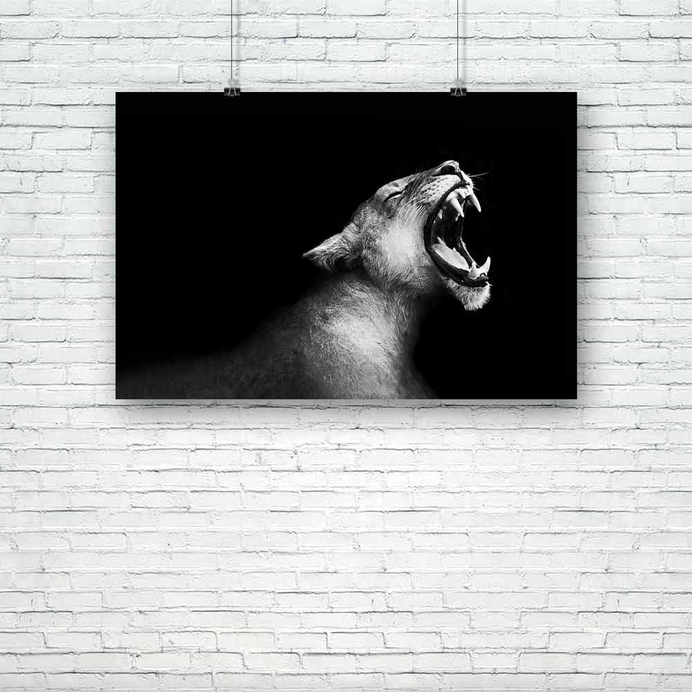 Lion Roaring Unframed Paper Poster-Paper Posters Unframed-POS_UN-IC 5002062 IC 5002062, African, Animals, Individuals, Portraits, Signs and Symbols, Symbols, Wildlife, lion, roaring, unframed, paper, poster, africa, aggressive, animal, attitude, carnivore, cat, closeup, courage, fur, head, hunt, important, imposing, impressive, jungle, portrait, power, powerful, predator, roar, safari, strength, strong, symbol, warrior, wild, zoo, artzfolio, posters, wall posters, posters for room, posters for room decorati