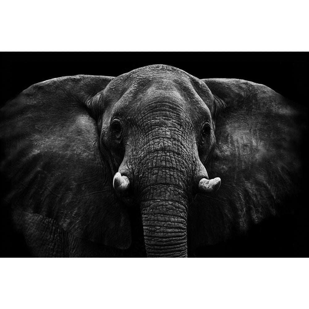 ArtzFolio Elephant D5 Unframed Paper Poster-Paper Posters Unframed-AZART17991036POS_UN_L-Image Code 5002063 Vishnu Image Folio Pvt Ltd, IC 5002063, ArtzFolio, Paper Posters Unframed, Animals, Photography, elephant, d5, unframed, paper, poster, wall, large, size, for, living, room, home, decoration, big, framed, decor, posters, pitaara, box, modern, art, with, frame, bedroom, amazonbasics, door, drawing, small, decorative, office, reception, multiple, friends, images, reprints, reprint, kids, bathroom, desig
