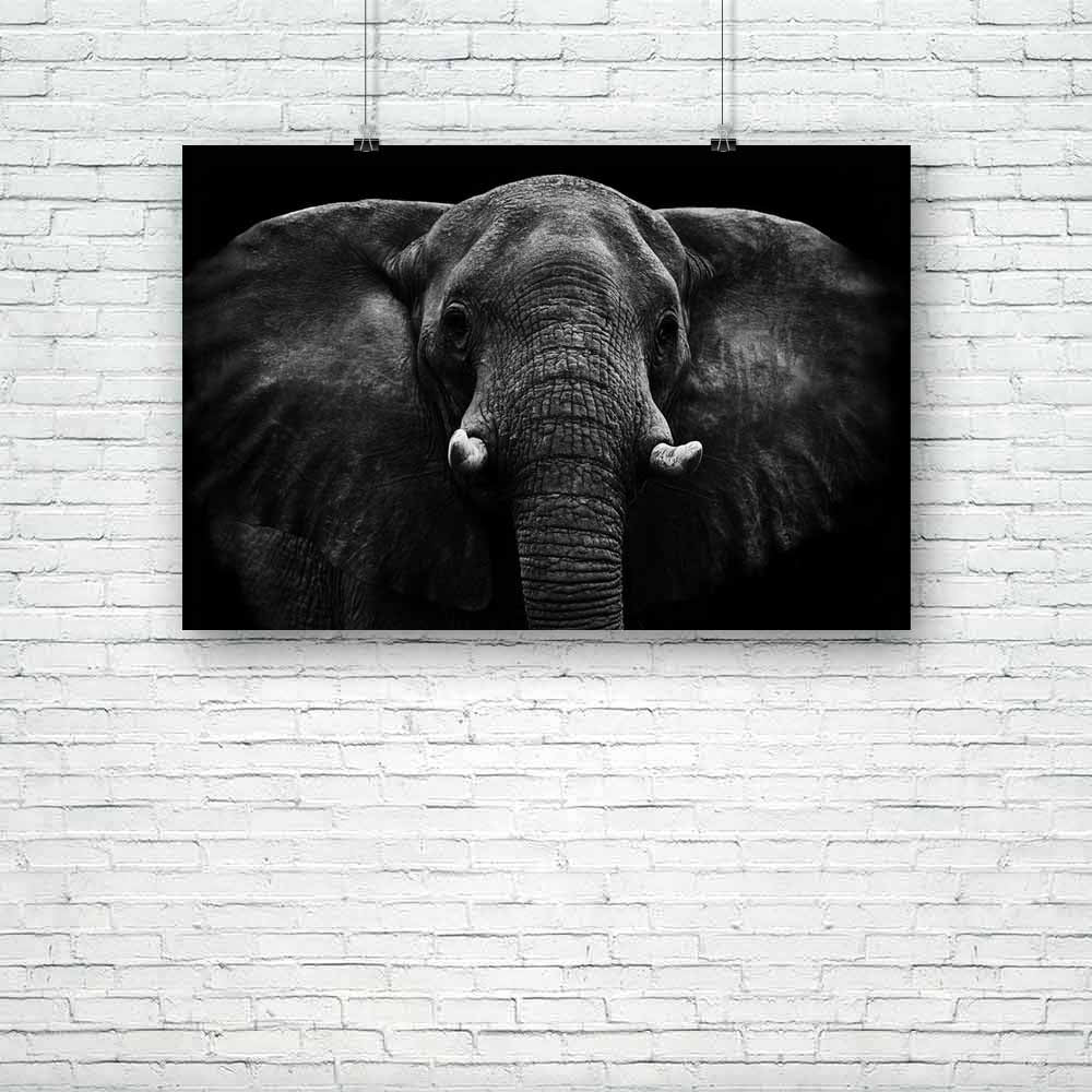 Elephant D5 Unframed Paper Poster-Paper Posters Unframed-POS_UN-IC 5002063 IC 5002063, African, Animals, Individuals, Nature, Portraits, Scenic, Wildlife, elephant, d5, unframed, paper, poster, elephants, head, face, aged, animal, big, brown, close, closeup, danger, detail, ear, endangered, eye, feed, female, hide, jungle, large, look, old, one, portrait, powerful, profile, skin, skinned, slow, species, strong, texture, thick, threatened, tough, trunk, tusk, up, wild, wise, wrinkled, zoo, artzfolio, posters