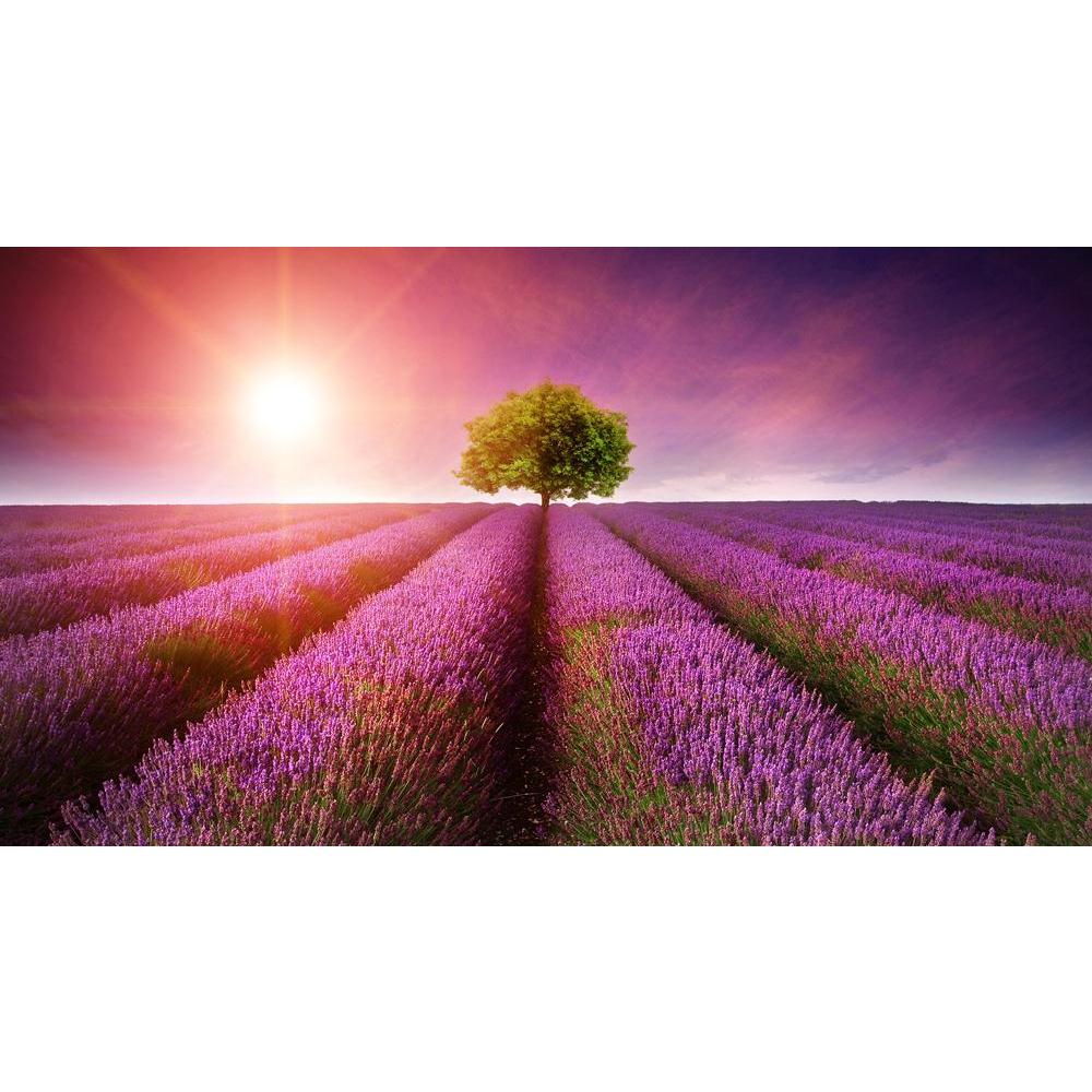 Landscape With Tree On Horizon With Sunburst Canvas Painting Synthetic Frame-Paintings MDF Framing-AFF_FR-IC 5002129 IC 5002129, Landscapes, Nature, Scenic, Sunsets, landscape, with, tree, on, horizon, sunburst, canvas, painting, synthetic, frame, lavender, field, essential, oil, fields, violet, aromatherapy, beautiful, beauty, clouds, color, colorful, crop, dusk, evening, golden, growth, harvest, herbaceous, lines, mauve, natural, perennial, purple, shrub, sky, summer, sun, beams, rays, sunbeams, sundown, 