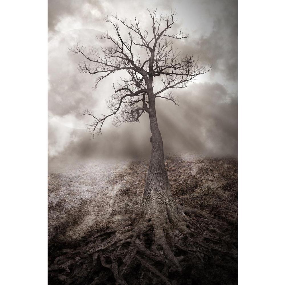 ArtzFolio Old Dark Roots Unframed Paper Poster-Paper Posters Unframed-AZART18545487POS_UN_L-Image Code 5002162 Vishnu Image Folio Pvt Ltd, IC 5002162, ArtzFolio, Paper Posters Unframed, Landscapes, Photography, old, dark, roots, unframed, paper, poster, wall, large, size, for, living, room, home, decoration, big, framed, decor, posters, pitaara, box, modern, art, with, frame, bedroom, amazonbasics, door, drawing, small, decorative, office, reception, multiple, friends, images, reprints, reprint, kids, bathr