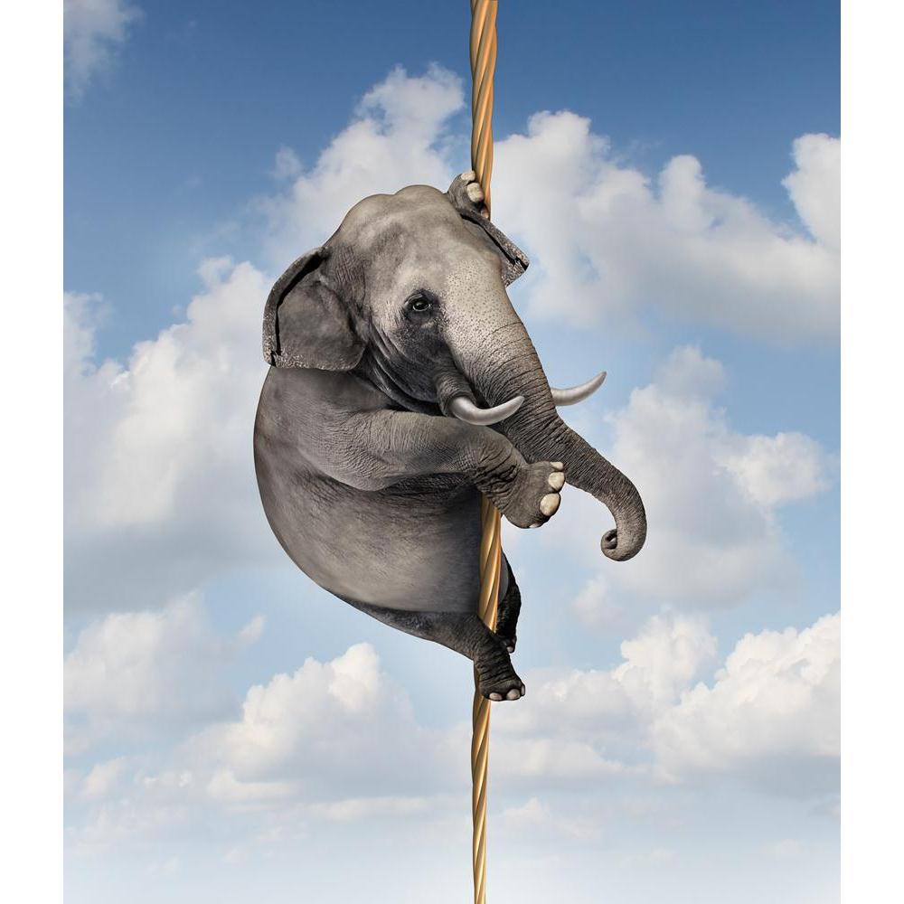 Strong Determination Portrayed by an Elephant Canvas Painting Synthetic Frame-Paintings MDF Framing-AFF_FR-IC 5002163 IC 5002163, Business, Dance, Music and Dance, Signs and Symbols, Symbols, strong, determination, portrayed, by, an, elephant, canvas, painting, synthetic, frame, trust, innovation, wisdom, courage, expertise, reliability, answers, balance, balancing, act, blue, sky, challenge, climb, climbing, complexity, creativity, danger, dangerous, determined, direction, driven, escape, financial, risk, 