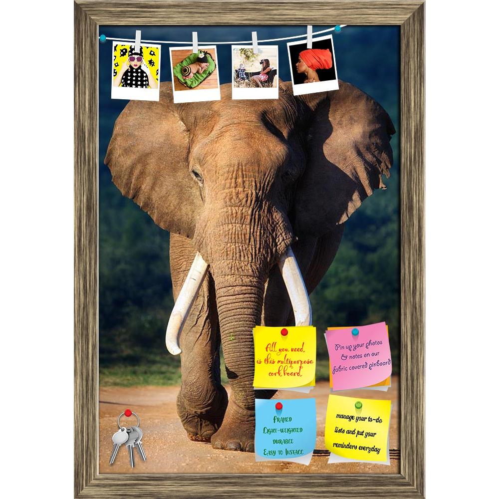 ArtzFolio Elephant With Large Teeth Printed Bulletin Board Notice Pin Board Soft Board | Framed-Bulletin Boards Framed-AZSAO18828764BLB_FR_L-Image Code 5002208 Vishnu Image Folio Pvt Ltd, IC 5002208, ArtzFolio, Bulletin Boards Framed, Animals, Photography, elephant, with, large, teeth, printed, bulletin, board, notice, pin, soft, framed, approaching, addo, national, park, pin up board, push pin board, extra large cork board, big pin board, notice board, small bulletin board, cork board, wall notice board, g