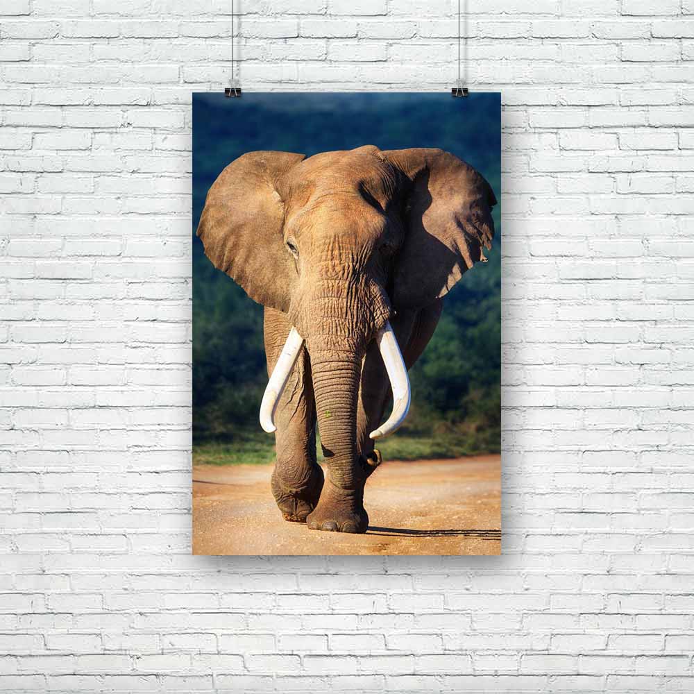 Elephant With Large Teeth Unframed Paper Poster-Paper Posters Unframed-POS_UN-IC 5002208 IC 5002208, African, Animals, Individuals, Nature, Portraits, Scenic, Wildlife, elephant, with, large, teeth, unframed, paper, poster, elephants, africa, wild, afrique, animal, approach, big, bull, front, green, huge, ivory, loxodonta, majestic, mammal, national, nobody, old, one, park, portrait, red, road, safari, sand, soil, tusk, vegetation, vertical, view, walk, artzfolio, posters, wall posters, posters for room, po