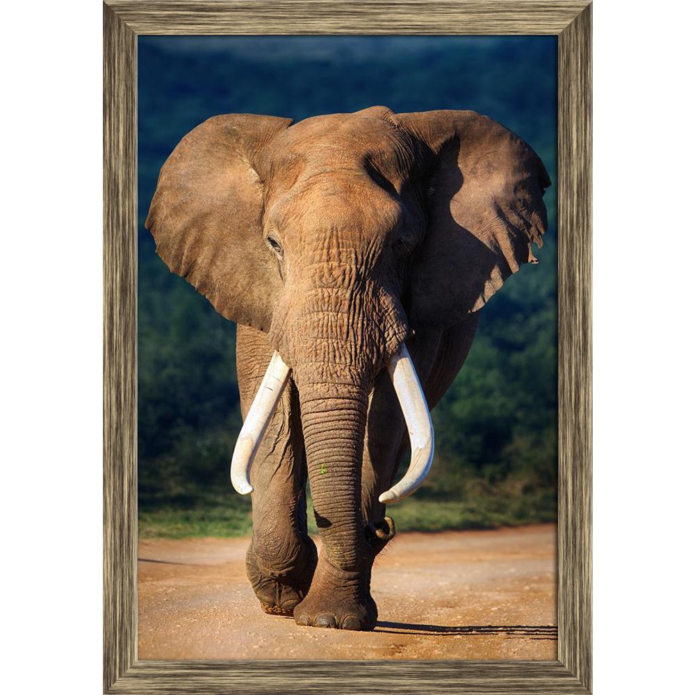 Pitaara Box Elephant With Large Teeth Canvas Painting Synthetic Frame-Paintings Synthetic Framing-PBART18828764AFF_FW_L-Image Code 5002208 Vishnu Image Folio Pvt Ltd, IC 5002208, Pitaara Box, Paintings Synthetic Framing, Animals, Photography, elephant, with, large, teeth, canvas, painting, synthetic, frame, approaching, addo, national, park, framed canvas print, wall painting for living room with frame, canvas painting for living room, artzfolio, poster, framed canvas painting, wall painting with frame, can