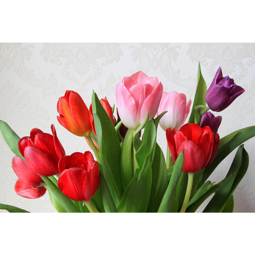 Colorful Tulips Canvas Painting Synthetic Frame-Paintings MDF Framing-AFF_FR-IC 5002215 IC 5002215, Ancient, Botanical, Floral, Flowers, Historical, Medieval, Nature, Scenic, Vintage, colorful, tulips, canvas, painting, synthetic, frame, background, beautiful, beauty, bloom, blossom, bouquet, celebration, close, colourful, composition, day, decoration, easter, florist, flower, fresh, garden, grass, green, greenery, grow, indoor, leaf, life, may, natural, nice, pink, plant, postcard, pretty, purple, red, sea