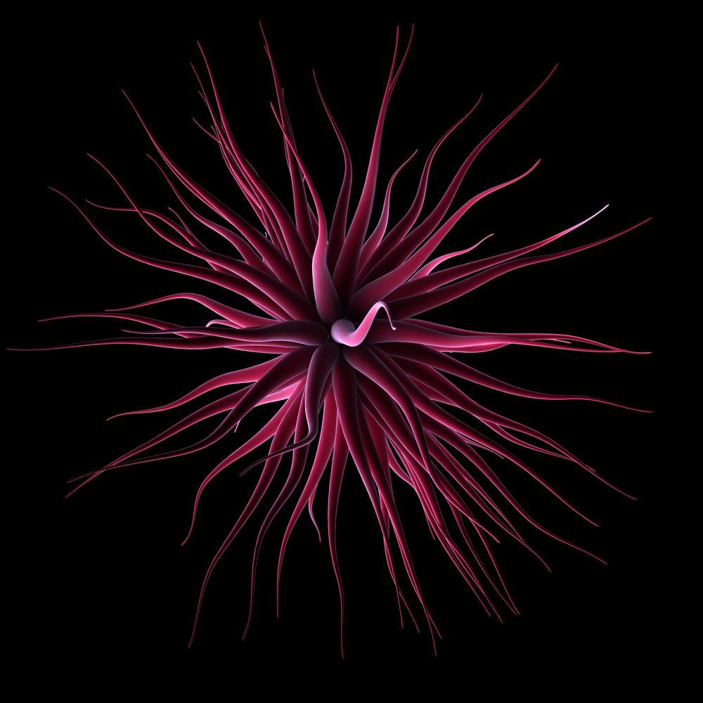 Abstract Artwork Canvas Painting Synthetic Frame - Paintings MDF Framing - ArtzFolio.com