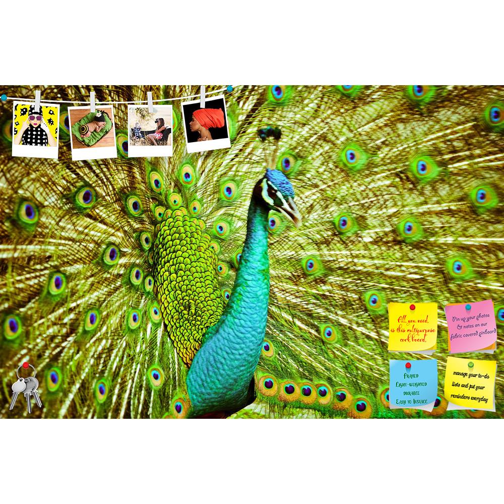 ArtzFolio Portrait Of Peacock Printed Bulletin Board Notice Pin Board Soft Board | Frameless-Bulletin Boards Frameless-AZSAO18986140BLB_FL_L-Image Code 5002239 Vishnu Image Folio Pvt Ltd, IC 5002239, ArtzFolio, Bulletin Boards Frameless, Birds, Photography, portrait, of, peacock, printed, bulletin, board, notice, pin, soft, frameless, feathers, out, pin up board, push pin board, extra large cork board, big pin board, notice board, small bulletin board, cork board, wall notice board, giant cork board, bullet