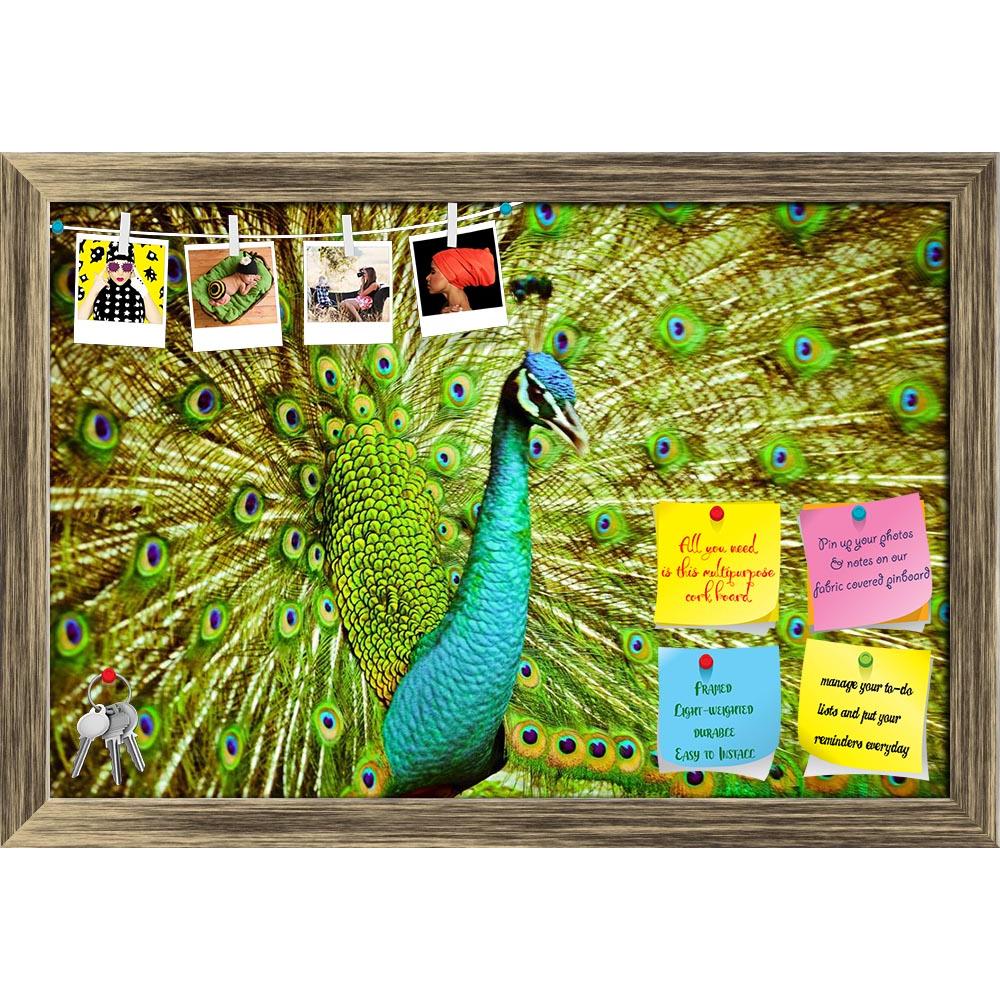 ArtzFolio Portrait Of Peacock Printed Bulletin Board Notice Pin Board Soft Board | Framed-Bulletin Boards Framed-AZSAO18986140BLB_FR_L-Image Code 5002239 Vishnu Image Folio Pvt Ltd, IC 5002239, ArtzFolio, Bulletin Boards Framed, Birds, Photography, portrait, of, peacock, printed, bulletin, board, notice, pin, soft, framed, feathers, out, pin up board, push pin board, extra large cork board, big pin board, notice board, small bulletin board, cork board, wall notice board, giant cork board, bulletin board, of