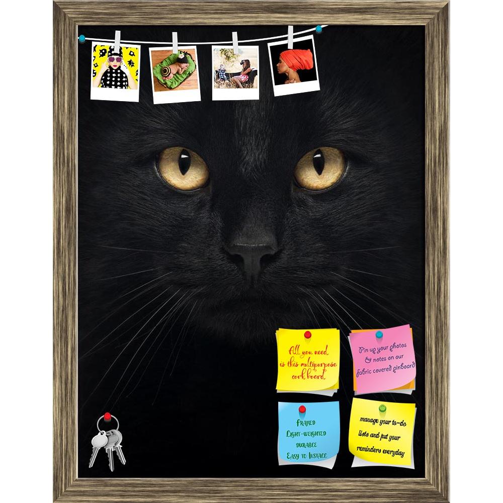 ArtzFolio Black Cat Printed Bulletin Board Notice Pin Board Soft Board | Framed-Bulletin Boards Framed-AZSAO19006292BLB_FR_L-Image Code 5002243 Vishnu Image Folio Pvt Ltd, IC 5002243, ArtzFolio, Bulletin Boards Framed, Animals, Photography, black, cat, printed, bulletin, board, notice, pin, soft, framed, close-up, looking, camera, isolated, white, pin up board, push pin board, extra large cork board, big pin board, notice board, small bulletin board, cork board, wall notice board, giant cork board, bulletin