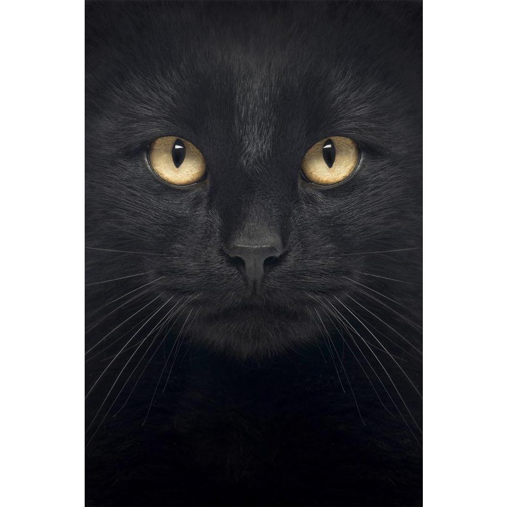 ArtzFolio Black Cat Unframed Paper Poster-Paper Posters Unframed-AZART19006292POS_UN_L-Image Code 5002243 Vishnu Image Folio Pvt Ltd, IC 5002243, ArtzFolio, Paper Posters Unframed, Animals, Photography, black, cat, unframed, paper, poster, wall, large, size, for, living, room, home, decoration, big, framed, decor, posters, pitaara, box, modern, art, with, frame, bedroom, amazonbasics, door, drawing, small, decorative, office, reception, multiple, friends, images, reprints, reprint, kids, bathroom, designer,