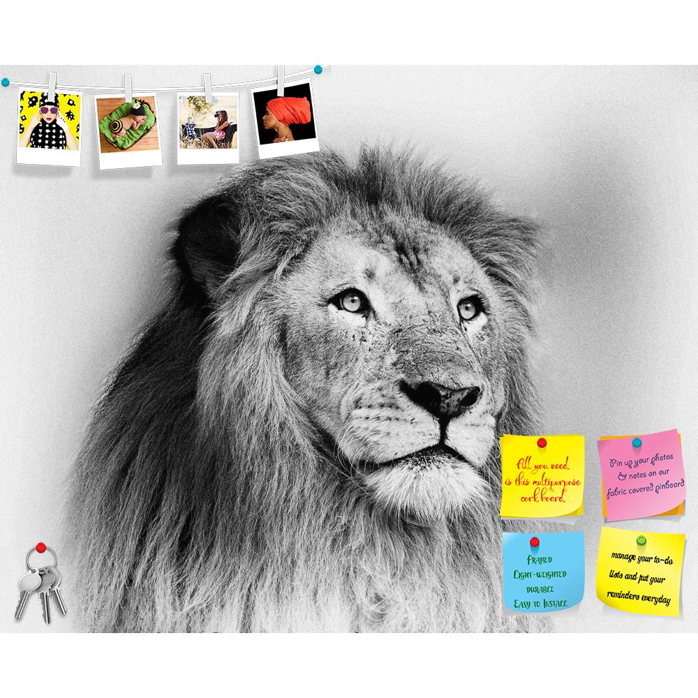 ArtzFolio Striking Black & White Lion Printed Bulletin Board Notice Pin Board Soft Board | Frameless-Bulletin Boards Frameless-AZSAO19359022BLB_FL_L-Image Code 5002298 Vishnu Image Folio Pvt Ltd, IC 5002298, ArtzFolio, Bulletin Boards Frameless, Animals, Photography, striking, black, white, lion, printed, bulletin, board, notice, pin, soft, frameless, face, portrait, pin up board, push pin board, extra large cork board, big pin board, notice board, small bulletin board, cork board, wall notice board, giant 