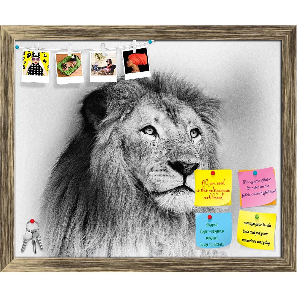 ArtzFolio Striking Black & White Lion Printed Bulletin Board Notice Pin Board Soft Board | Framed-Bulletin Boards Framed-AZSAO19359022BLB_FR_L-Image Code 5002298 Vishnu Image Folio Pvt Ltd, IC 5002298, ArtzFolio, Bulletin Boards Framed, Animals, Photography, striking, black, white, lion, printed, bulletin, board, notice, pin, soft, framed, face, portrait, pin up board, push pin board, extra large cork board, big pin board, notice board, small bulletin board, cork board, wall notice board, giant cork board, 