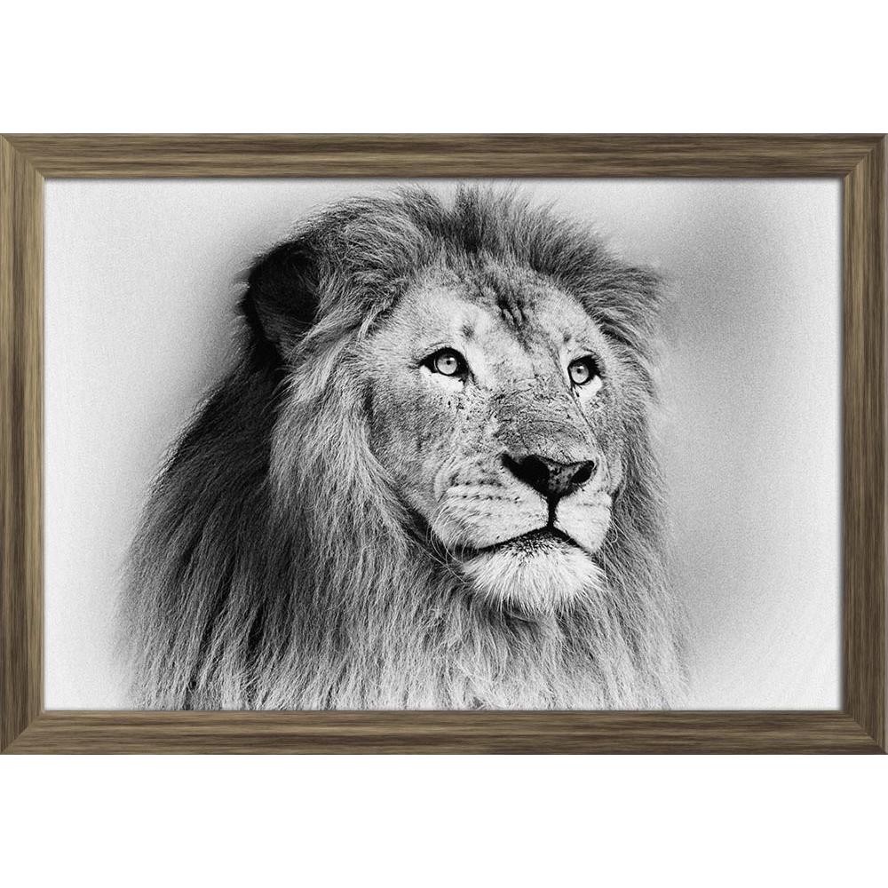 ArtzFolio Striking Black & White Lion Paper Poster Frame | Top Acrylic Glass-Paper Posters Framed-AZART19359022POS_FR_L-Image Code 5002298 Vishnu Image Folio Pvt Ltd, IC 5002298, ArtzFolio, Paper Posters Framed, Animals, Photography, striking, black, white, lion, paper, poster, frame, top, acrylic, glass, face, portrait, wall poster large size, wall poster for living room, poster for home decoration, paper poster, big size room poster, framed wall poster for living room, home decor posters, pitaara box, mod