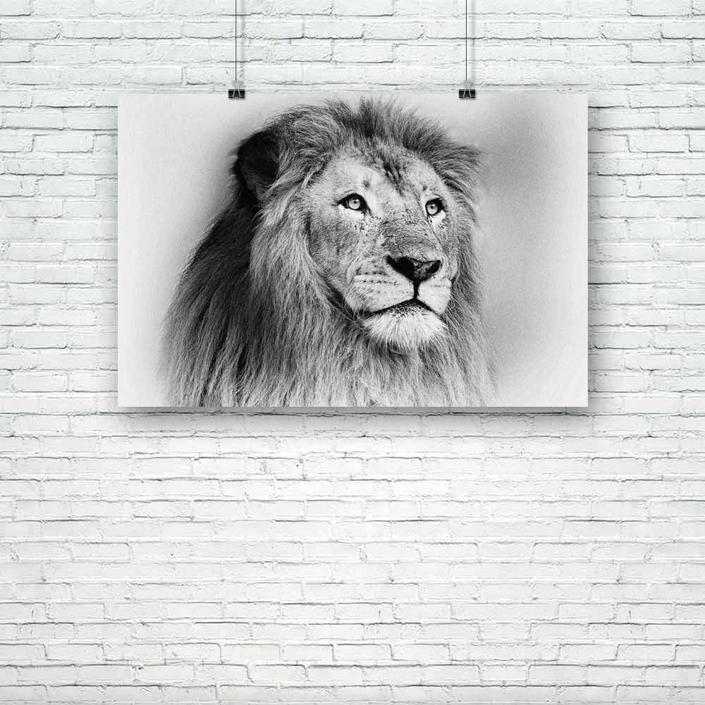 Striking Black & White Lion Unframed Paper Poster-Paper Posters Unframed-POS_UN-IC 5002298 IC 5002298, African, Ancient, Animals, Art and Paintings, Black, Black and White, Books, Drawing, Historical, Illustrations, Individuals, Medieval, Nature, Portraits, Scenic, Vintage, White, striking, lion, unframed, paper, poster, drawings, and, lions, cat, africa, animal, art, artistic, backdrop, background, book, card, close, up, closeup, concept, cover, effect, face, illustration, image, mammal, motif, old, pad, p
