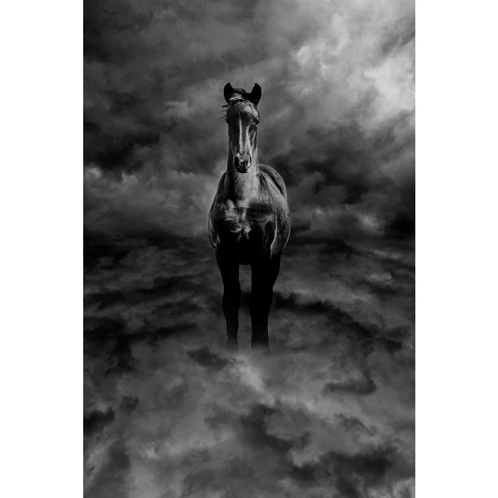 ArtzFolio Black & White Pegasus Unframed Paper Poster-Paper Posters Unframed-AZART19359057POS_UN_L-Image Code 5002299 Vishnu Image Folio Pvt Ltd, IC 5002299, ArtzFolio, Paper Posters Unframed, Animals, Photography, black, white, pegasus, unframed, paper, poster, wall, large, size, for, living, room, home, decoration, big, framed, decor, posters, pitaara, box, modern, art, with, frame, bedroom, amazonbasics, door, drawing, small, decorative, office, reception, multiple, friends, images, reprints, reprint, ki