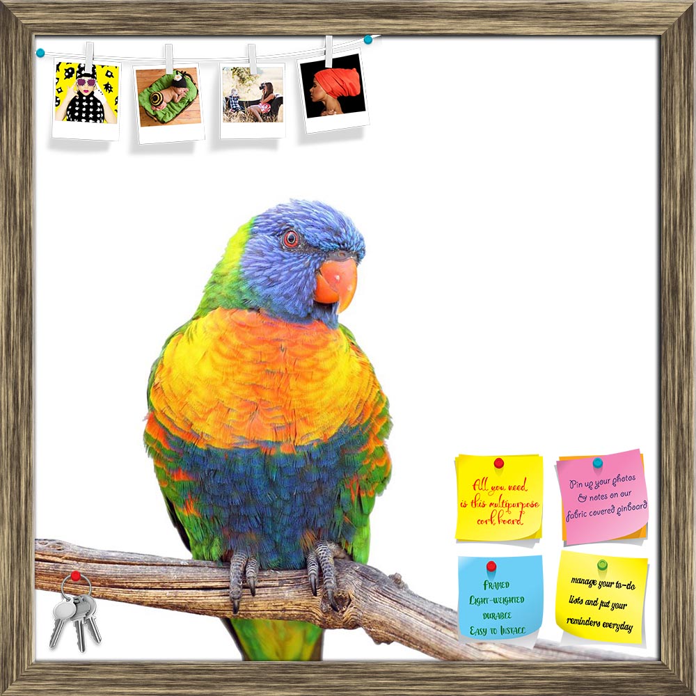 ArtzFolio Rainbow Lorikeet Birds Printed Bulletin Board Notice Pin Board Soft Board | Framed-Bulletin Boards Framed-AZSAO19369499BLB_FR_L-Image Code 5002300 Vishnu Image Folio Pvt Ltd, IC 5002300, ArtzFolio, Bulletin Boards Framed, Birds, Photography, rainbow, lorikeet, printed, bulletin, board, notice, pin, soft, framed, details, trichoglossus, haematodus, perching, branch, isolated, white, pin up board, push pin board, extra large cork board, big pin board, notice board, small bulletin board, cork board, 