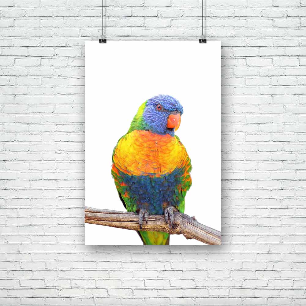 Rainbow Lorikeet Birds Unframed Paper Poster-Paper Posters Unframed-POS_UN-IC 5002300 IC 5002300, Animals, Birds, Black and White, Nature, Pets, Scenic, White, Wildlife, rainbow, lorikeet, unframed, paper, poster, animal, australia, bird, captivity, isolated, on, lory, multicolored, parrot, perching, plumage, tropical, artzfolio, posters, wall posters, posters for room, posters for room decoration, office poster, door poster, baby poster, motivational posters, posters for room boys, quotes, poster for wall 