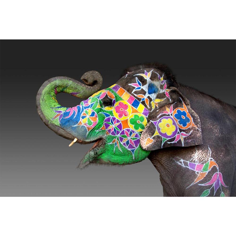 ArtzFolio Elephant Decorated For Holi In Jaipur India Unframed Paper Poster-Paper Posters Unframed-AZART19381159POS_UN_L-Image Code 5002302 Vishnu Image Folio Pvt Ltd, IC 5002302, ArtzFolio, Paper Posters Unframed, Animals, Photography, elephant, decorated, for, holi, in, jaipur, india, unframed, paper, poster, wall, large, size, living, room, home, decoration, big, framed, decor, posters, pitaara, box, modern, art, with, frame, bedroom, amazonbasics, door, drawing, small, decorative, office, reception, mul
