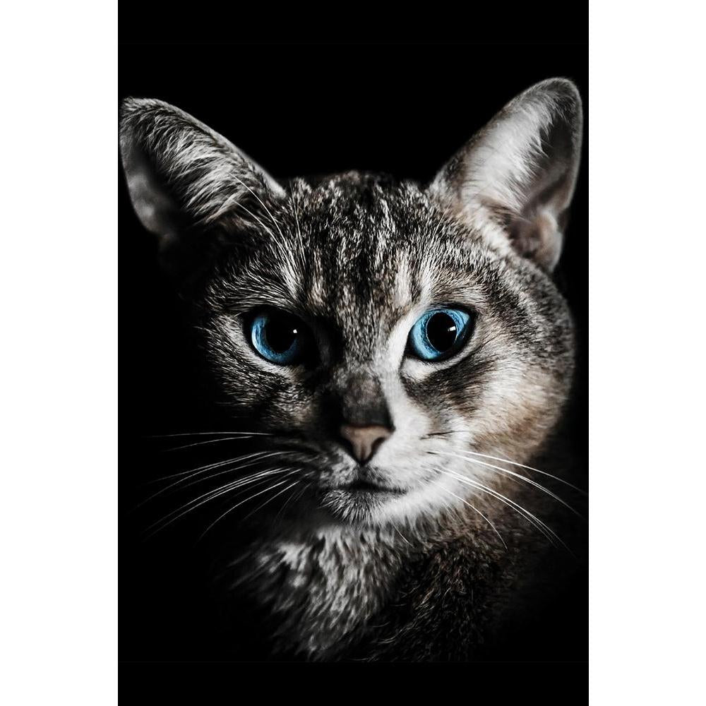 ArtzFolio Cat Portrait Unframed Paper Poster-Paper Posters Unframed-AZART19508391POS_UN_L-Image Code 5002323 Vishnu Image Folio Pvt Ltd, IC 5002323, ArtzFolio, Paper Posters Unframed, Animals, Photography, cat, portrait, unframed, paper, poster, wall, large, size, for, living, room, home, decoration, big, framed, decor, posters, pitaara, box, modern, art, with, frame, bedroom, amazonbasics, door, drawing, small, decorative, office, reception, multiple, friends, images, reprints, reprint, kids, bathroom, des