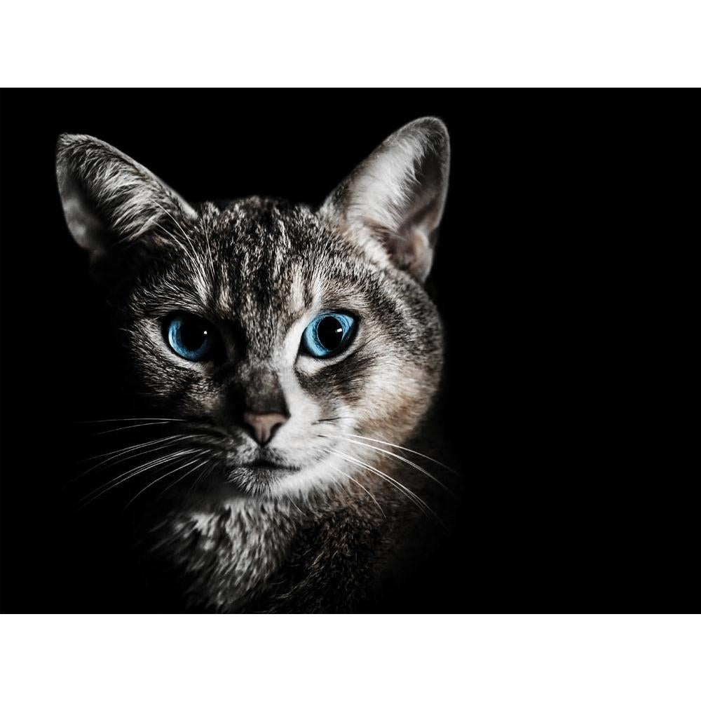 Cat Portrait Canvas Painting Synthetic Frame-Paintings MDF Framing-AFF_FR-IC 5002323 IC 5002323, Animals, Black, Black and White, Calligraphy, Individuals, Nature, Pets, Portraits, Scenic, Space, Text, cat, portrait, canvas, painting, synthetic, frame, adorable, animal, attentive, background, beautiful, blue, breed, british, close, up, closeup, copy, copyspace, creature, cute, domestic, eyes, face, feline, furry, gray, grey, head, isolated, kitten, kitty, look, looking, lovely, mammal, mustache, muzzle, nic