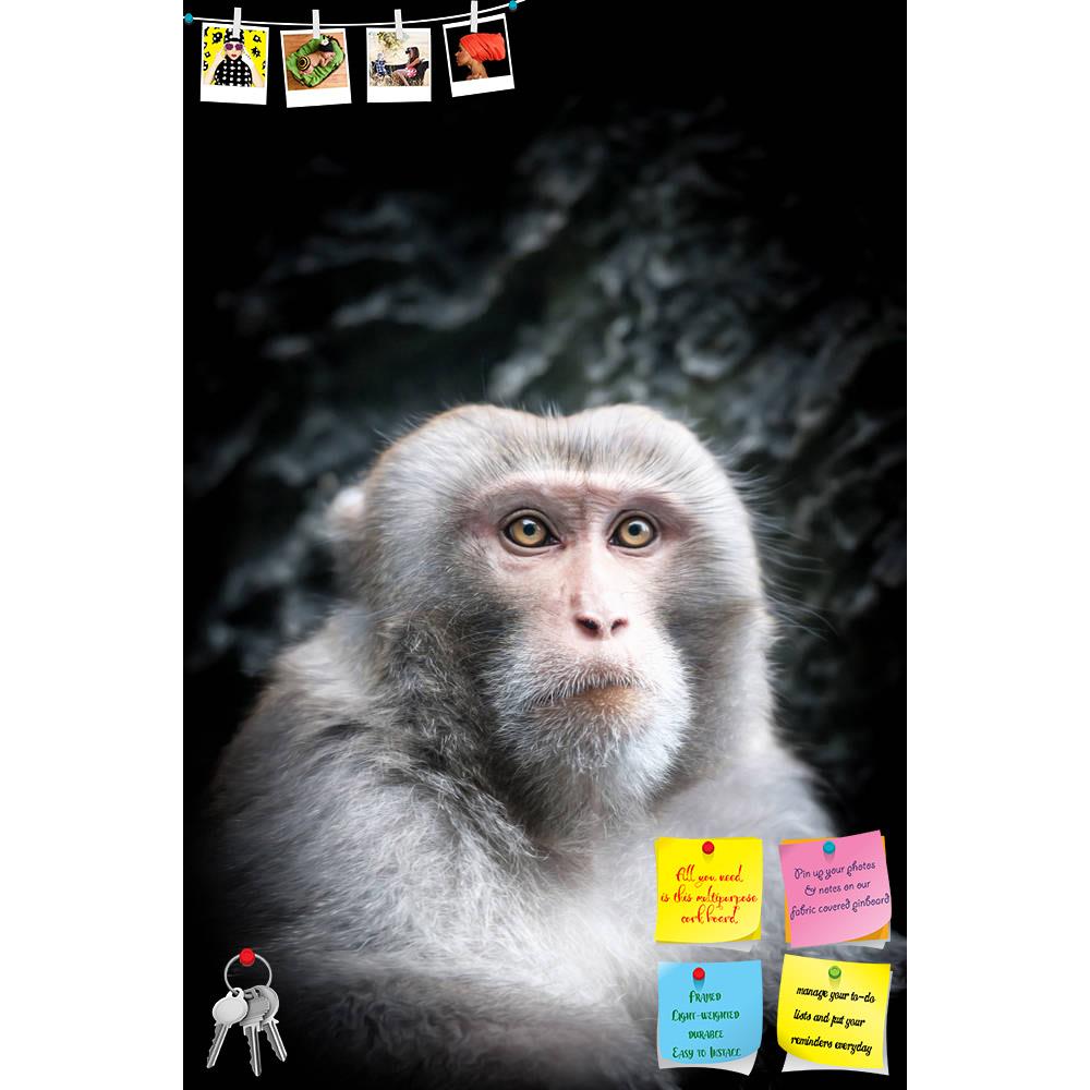 ArtzFolio Monkey With Gray Fur Printed Bulletin Board Notice Pin Board Soft Board | Frameless-Bulletin Boards Frameless-AZSAO19746870BLB_FL_L-Image Code 5002352 Vishnu Image Folio Pvt Ltd, IC 5002352, ArtzFolio, Bulletin Boards Frameless, Animals, Photography, monkey, with, gray, fur, printed, bulletin, board, notice, pin, soft, frameless, cute, little, smart, look, close-up, portrait, animal, serious, face, black, background, view, thinking, primate, adorable, facial, expression, contemplation, pin up boar