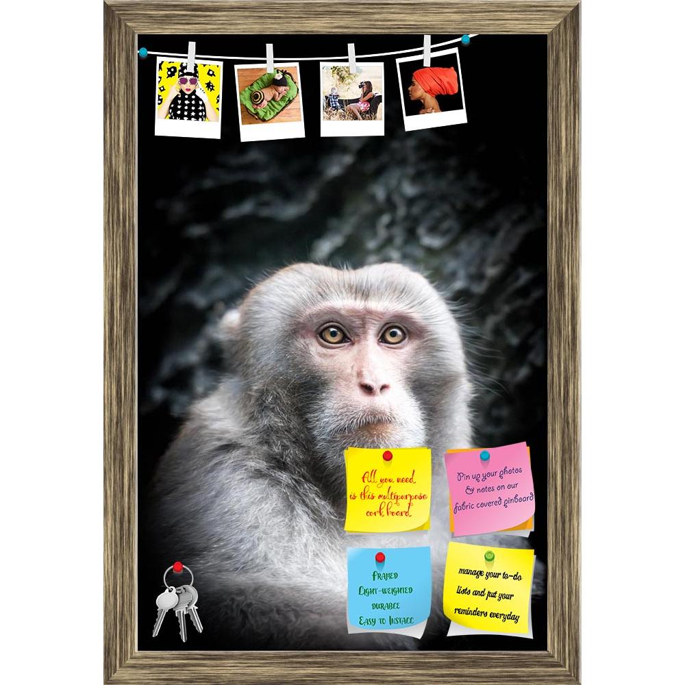ArtzFolio Monkey With Gray Fur Printed Bulletin Board Notice Pin Board Soft Board | Framed-Bulletin Boards Framed-AZSAO19746870BLB_FR_L-Image Code 5002352 Vishnu Image Folio Pvt Ltd, IC 5002352, ArtzFolio, Bulletin Boards Framed, Animals, Photography, monkey, with, gray, fur, printed, bulletin, board, notice, pin, soft, framed, cute, little, smart, look, close-up, portrait, animal, serious, face, black, background, view, thinking, primate, adorable, facial, expression, contemplation, pin up board, push pin 