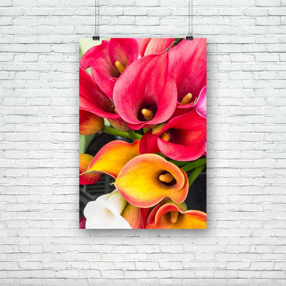 Calla Lily Flowers Unframed Paper Poster-Paper Posters Unframed-POS_UN-IC 5002358 IC 5002358, Black and White, Botanical, Floral, Flowers, Nature, White, calla, lily, unframed, paper, poster, arum, bloom, blossom, bouquet, flora, flower, flowering, plants, orange, perennial, petal, plant, purple, red, stem, artzfolio, posters, wall posters, posters for room, posters for room decoration, office poster, door poster, baby poster, motivational posters, posters for room boys, quotes, poster for wall decoration, 
