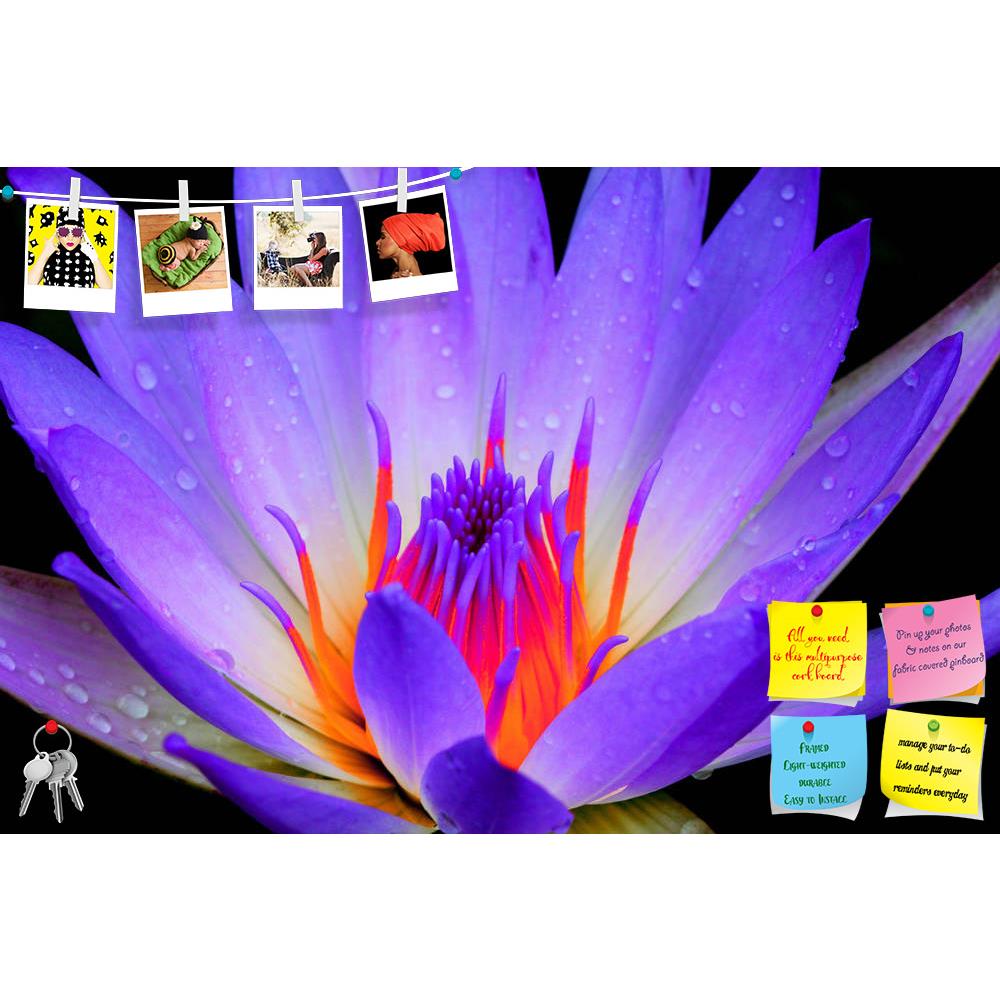 ArtzFolio Lotus D2 Printed Bulletin Board Notice Pin Board Soft Board | Frameless-Bulletin Boards Frameless-AZSAO19847921BLB_FL_L-Image Code 5002364 Vishnu Image Folio Pvt Ltd, IC 5002364, ArtzFolio, Bulletin Boards Frameless, Floral, Photography, lotus, d2, printed, bulletin, board, notice, pin, soft, frameless, pin up board, push pin board, extra large cork board, big pin board, notice board, small bulletin board, cork board, wall notice board, giant cork board, bulletin board, office notice board, office