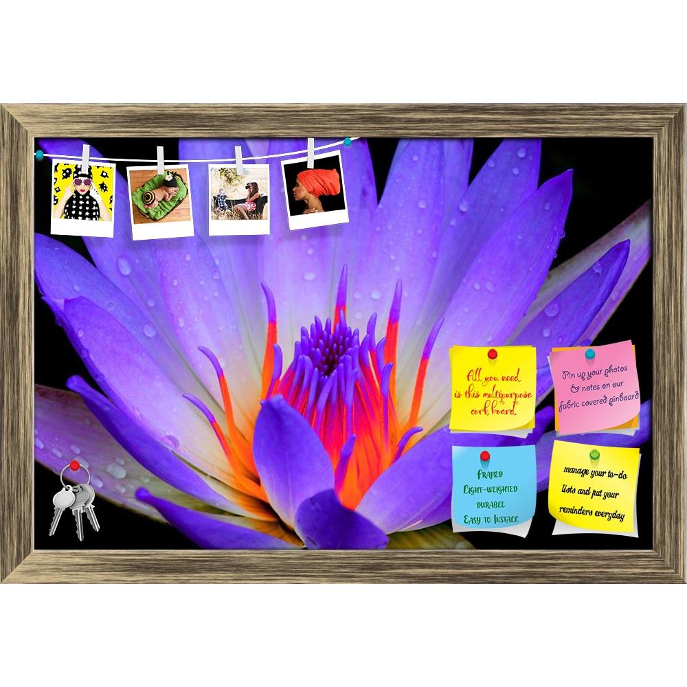 ArtzFolio Lotus D2 Printed Bulletin Board Notice Pin Board Soft Board | Framed-Bulletin Boards Framed-AZSAO19847921BLB_FR_L-Image Code 5002364 Vishnu Image Folio Pvt Ltd, IC 5002364, ArtzFolio, Bulletin Boards Framed, Floral, Photography, lotus, d2, printed, bulletin, board, notice, pin, soft, framed, pin up board, push pin board, extra large cork board, big pin board, notice board, small bulletin board, cork board, wall notice board, giant cork board, bulletin board, office notice board, office cork board,