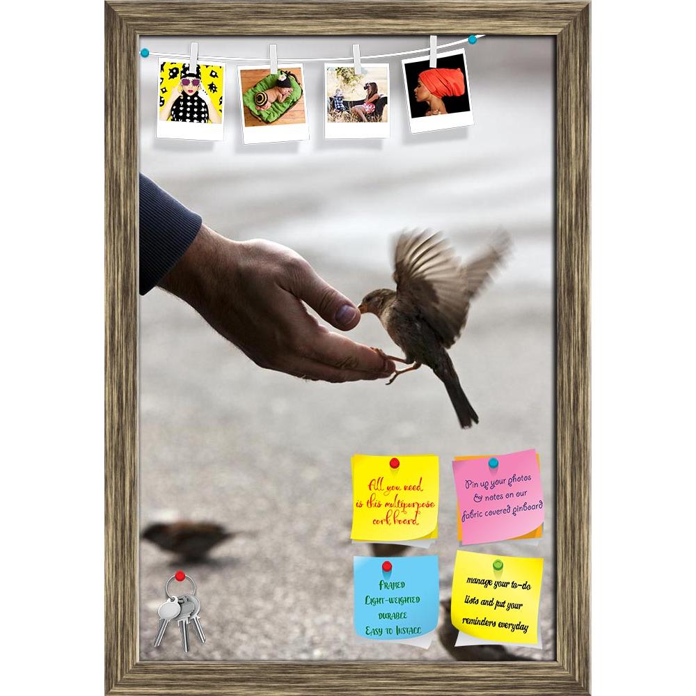 ArtzFolio Bird Feeding Hand Printed Bulletin Board Notice Pin Board Soft Board | Framed-Bulletin Boards Framed-AZSAO19869712BLB_FR_L-Image Code 5002372 Vishnu Image Folio Pvt Ltd, IC 5002372, ArtzFolio, Bulletin Boards Framed, Birds, Photography, bird, feeding, hand, printed, bulletin, board, notice, pin, soft, framed, wonderful, available, light, after, some, rain, pin up board, push pin board, extra large cork board, big pin board, notice board, small bulletin board, cork board, wall notice board, giant c